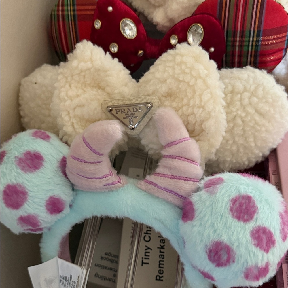 Disney Ears (3)